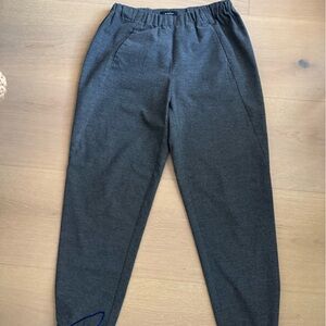 Aritzia babaton grey pants sport
